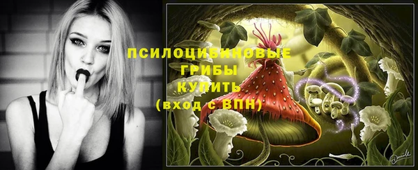 прущие грибы Алексин