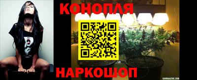 герыч Кингисепп