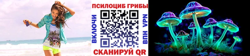 Псилоцибиновые грибы Psilocybine cubensis  дарк нет наркотические препараты  Лениногорск  кракен как зайти 
