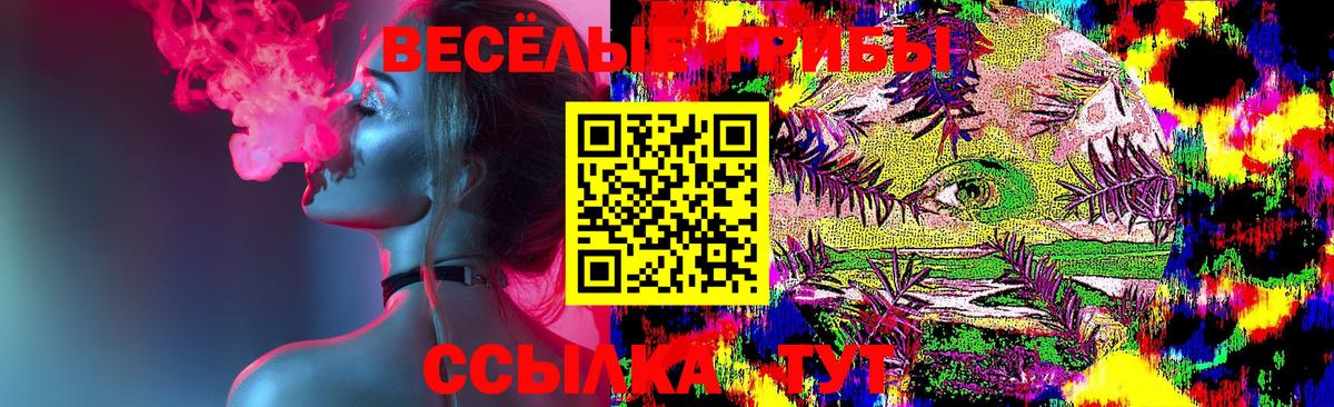 Галлюциногенные грибы мицелий  Галлюциногенные грибы мицелий  Лениногорск  Вход с VPN 